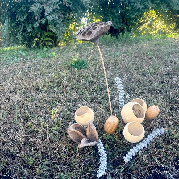 Multi piece gourd lotus natural decor  set - Picture 2 of 13